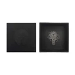 Chrome Hearts Silver Tiny Star Dogtag Necklace